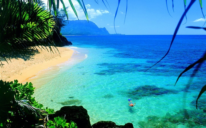 Meer, klares Wasser, Küste, schwimmen, Hawaii, USA Hintergrundbilder Bilder