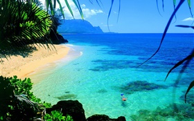 Meer, klares Wasser, Küste, schwimmen, Hawaii, USA HD Hintergrundbilder