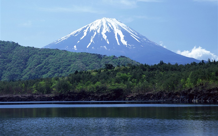 Meer, Wald, Mount Fuji, Japan Hintergrundbilder Bilder