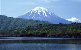 Meer, Wald, Mount Fuji, Japan HD Hintergrundbilder