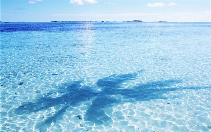 Meer, Wasser blau, Glanz, Wellen, Schatten, Malediven Hintergrundbilder Bilder