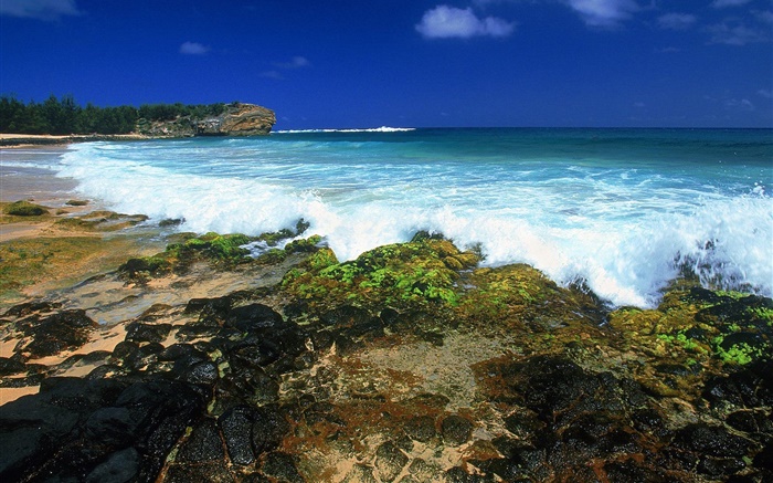 Meer Wellen, Küste, Dämmerung, Hawaii, USA Hintergrundbilder Bilder