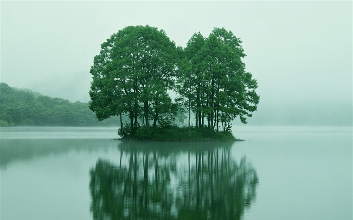 Kleine Insel im See Zentrum, Bäume, Tokio, Japan Hintergrundbilder Bilder