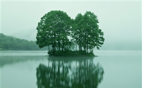 Kleine Insel im See Zentrum, Bäume, Tokio, Japan HD Hintergrundbilder