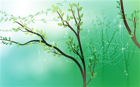 Frühling, Grün, Bäume, Blätter, Spinnennetz , Tau, Vektor-Bilder HD Hintergrundbilder