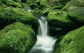Steine, Moos, Bach, Wasserfall HD Hintergrundbilder