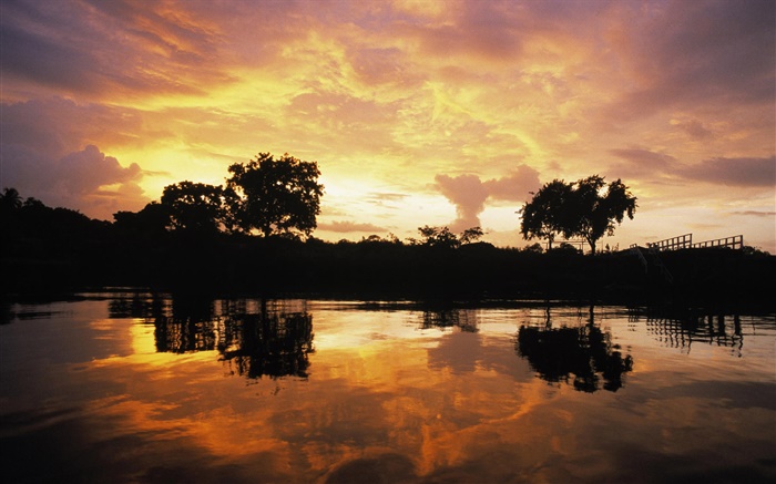 Sonnenuntergang über Wald, See, Guyana Hintergrundbilder Bilder