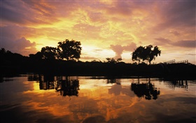 Sonnenuntergang über Wald, See, Guyana