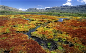 Sumpf, Berge, Gras, Natur Landschaft HD Hintergrundbilder