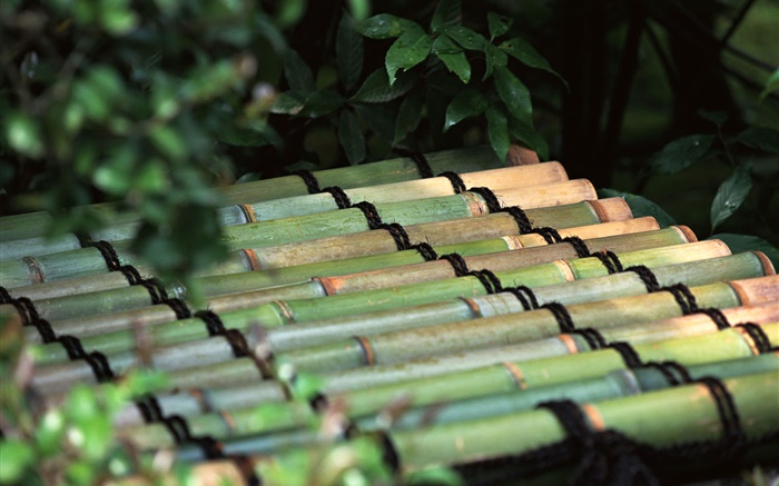 Tokyo, Japan, Bambusfloß Hintergrundbilder Bilder