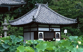Tokyo, Japan, Garten, Tempel, Lotus-Teich