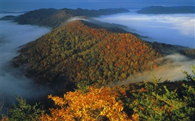 Draufsicht  Landschaft, Berge, Nebel, Dämmerung HD Hintergrundbilder