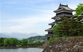 Die Reise nach Tokio, Japan, Park, See, Tempel HD Hintergrundbilder