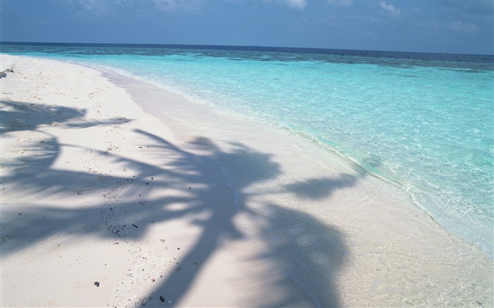 Baumschatten , Malediven, Strand, Meer, Wellen Hintergrundbilder Bilder