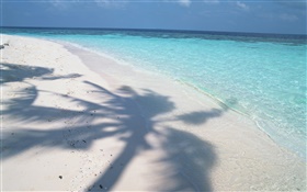 Baumschatten , Malediven, Strand, Meer, Wellen HD Hintergrundbilder
