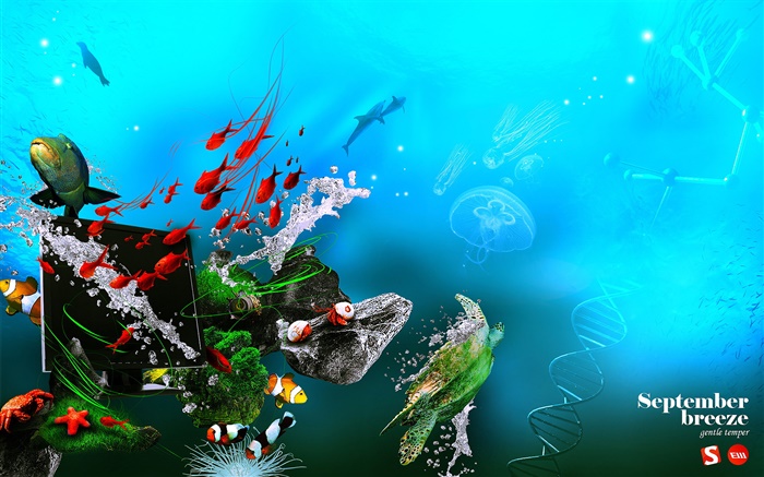 Unterwasser , Meer, Fisch, Monitor, DNA, kreatives Design Hintergrundbilder Bilder