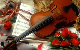 Violine, rote Rosen, Musik HD Hintergrundbilder
