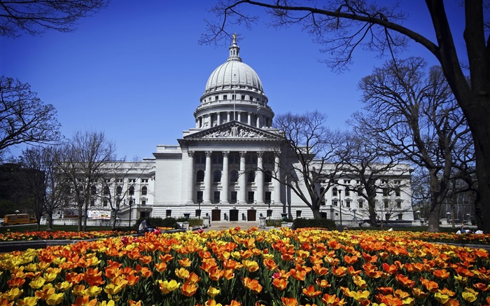 Washington, Madison, USA, Gebäude, Park, Blumen Hintergrundbilder Bilder