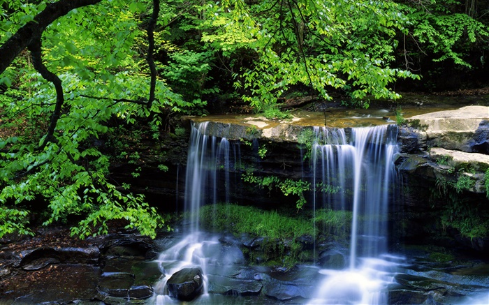 Wasserfall, Bach, Bäume, Zweige, grüne Blätter Hintergrundbilder Bilder