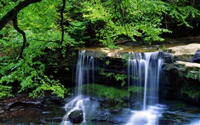 Wasserfall, Bach, Bäume, Zweige, grüne Blätter HD Hintergrundbilder