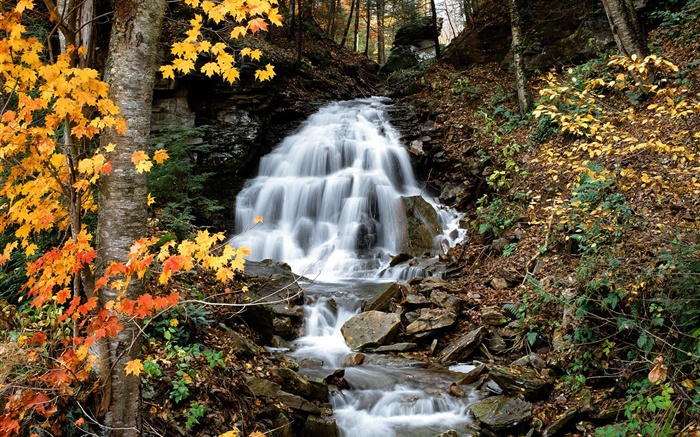 Wasserfall, Bach, Bäume, gelbe Blätter, Herbst Hintergrundbilder Bilder