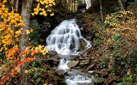 Wasserfall, Bach, Bäume, gelbe Blätter, Herbst HD Hintergrundbilder