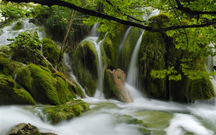 Wasserfälle , Bach, Steine, Zweige, Blätter Hintergrundbilder Bilder