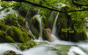 Wasserfälle , Bach, Steine, Zweige, Blätter HD Hintergrundbilder