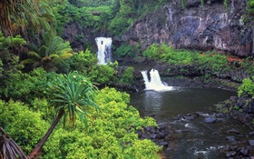 Wasserfälle , Bach, Wasser, Felsen, Pflanzen, Hawaii, USA HD Hintergrundbilder