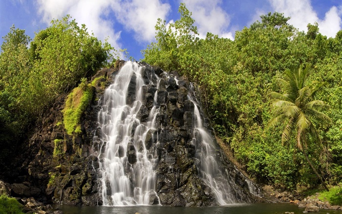 Wasserfälle , Pflanzen Hintergrundbilder Bilder
