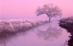 Wintermorgen , Frost, Bäume, Fluss, roten Himmel HD Hintergrundbilder