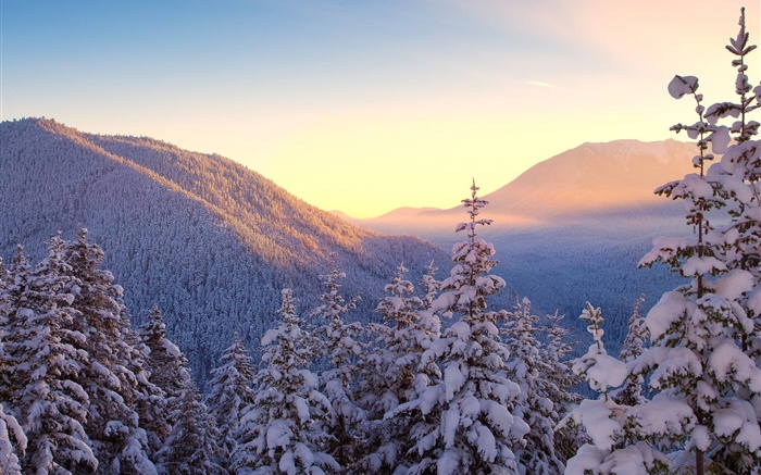 Winter, Berge, Schnee, Bäume, Sonnenuntergang Hintergrundbilder Bilder