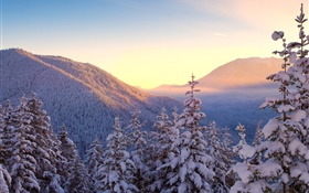 Winter, Berge, Schnee, Bäume, Sonnenuntergang