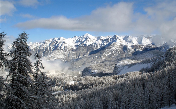 Winter, Berge, Bäume, Schnee, Natur, Landschaft, Hintergrundbilder Bilder