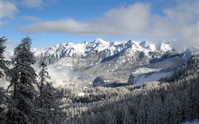 Winter, Berge, Bäume, Schnee, Natur, Landschaft, HD Hintergrundbilder