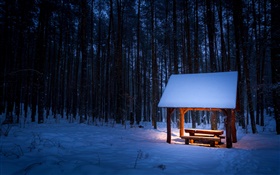 Winter, Bäume, Pavillon, Schnee, Nacht, Licht HD Hintergrundbilder