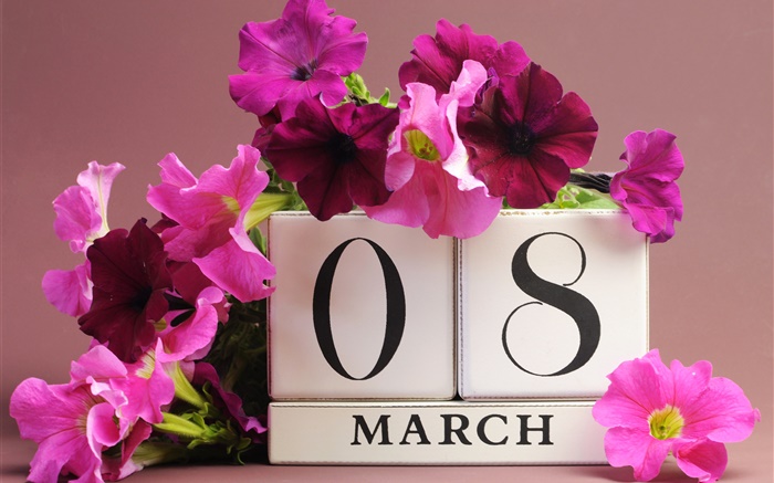 8. März Frauentag, rosa Petunien Blumen, Datum Hintergrundbilder Bilder