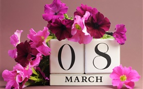 8. März Frauentag, rosa Petunien Blumen, Datum