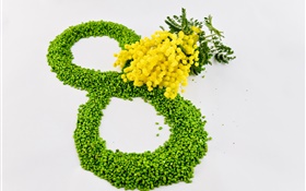 8. März Frauentag, gelbe Blumen, Mimosen HD Hintergrundbilder