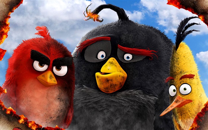 Angry Birds Film 2016 Hintergrundbilder Bilder