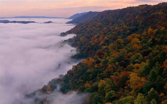 Schöne Natur, Landschaft, Berge, Bäume, Herbst, Nebel, Dämmerung Hintergrundbilder Bilder