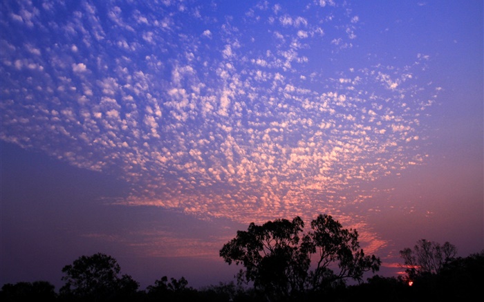 Schöner Sonnenuntergang, Himmel, Wolken, Bäume, Silhouette Hintergrundbilder Bilder