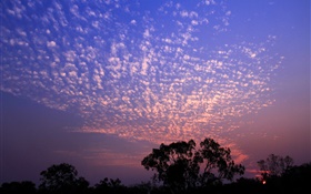 Schöner Sonnenuntergang, Himmel, Wolken, Bäume, Silhouette HD Hintergrundbilder