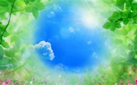 Blauer Himmel, grüne Blätter, Sonne, Sommer HD Hintergrundbilder
