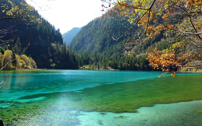 China, Jiuzhaigou Nationalpark , See, Berge, Bäume Hintergrundbilder Bilder