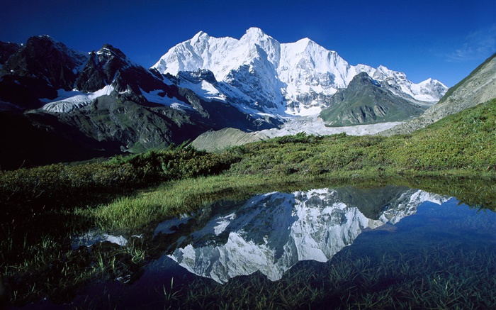 Chomo Lonzo, Berge, Gras, Teich, Gletscher, Tibet Hintergrundbilder Bilder