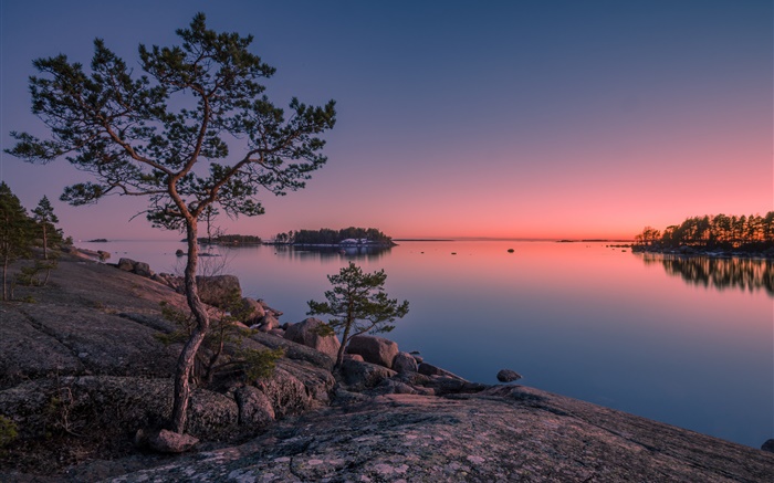 Finnland, Finnische Bucht, Meer, Insel, Sonnenuntergang, Bäume, Steine Hintergrundbilder Bilder