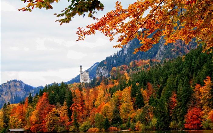 Deutschland, Bayern, Schwangau Schloss, Bäume, Fluss, Herbst Hintergrundbilder Bilder