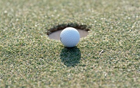 Golfball auf dem Rasen HD Hintergrundbilder
