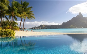 Lagune, am Strand, Palmen, Strand, Pool, tropische HD Hintergrundbilder
